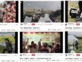 网红石昊爆料视频大全,揭秘幕后真相与热点事件