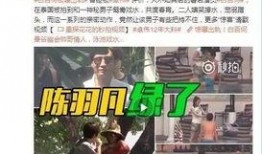 袁慧敏爆料富商视频,一场豪门恩怨的真相曝光